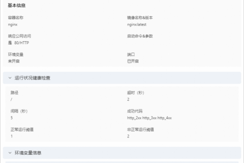 阿里云轻量应用服务器-查看容器详细信息