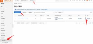 如何给云服务器绑定多个 IP？（公网 IP）