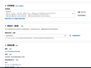 如何启动和使用亚马逊AWS的EC2实例？