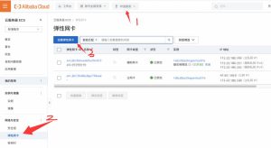 如何给云服务器绑定多个 IP？（公网 IP）