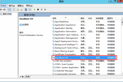 腾讯云轻量应用服务器操作指南-管理实例-Windows 实例离线重置密码失败或无效问题排查