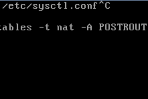 华为云虚拟私有云 VPC用户指南-基于ECS自建SNAT服务器实现多个ECS共享EIP访问公网