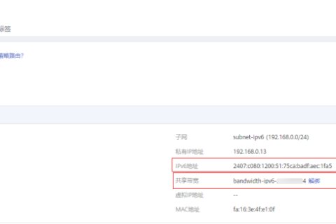 华为云虚拟私有云 VPC-配置了IPv6双栈，为什么无法访问IPv6网站？