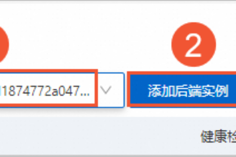 阿里云轻量应用服务器-如何添加后端实例？