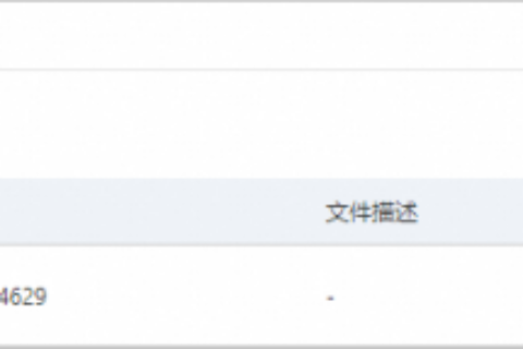 阿里云轻量应用服务器-上传文件到轻量应用服务器