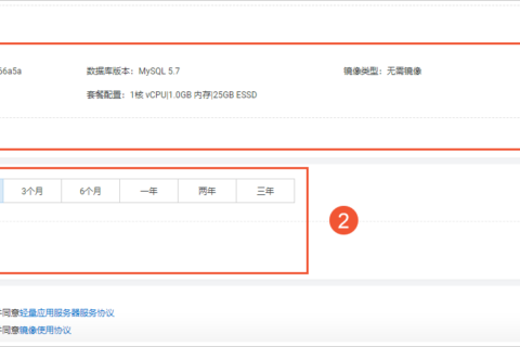 阿里云轻量应用服务器-手动续费容器服务